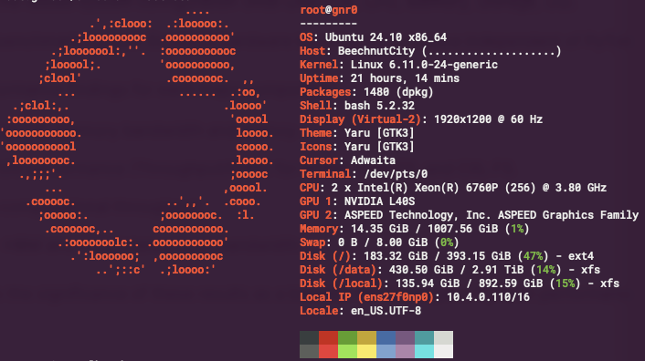 fastfetch output